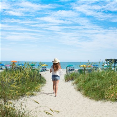 26040 Fall in Love with Myrtle Beach