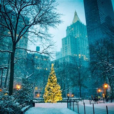 26021 Holiday in New York City