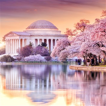 26008 DC in the Springtime