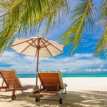 26002 Winter Cruise to Paradise